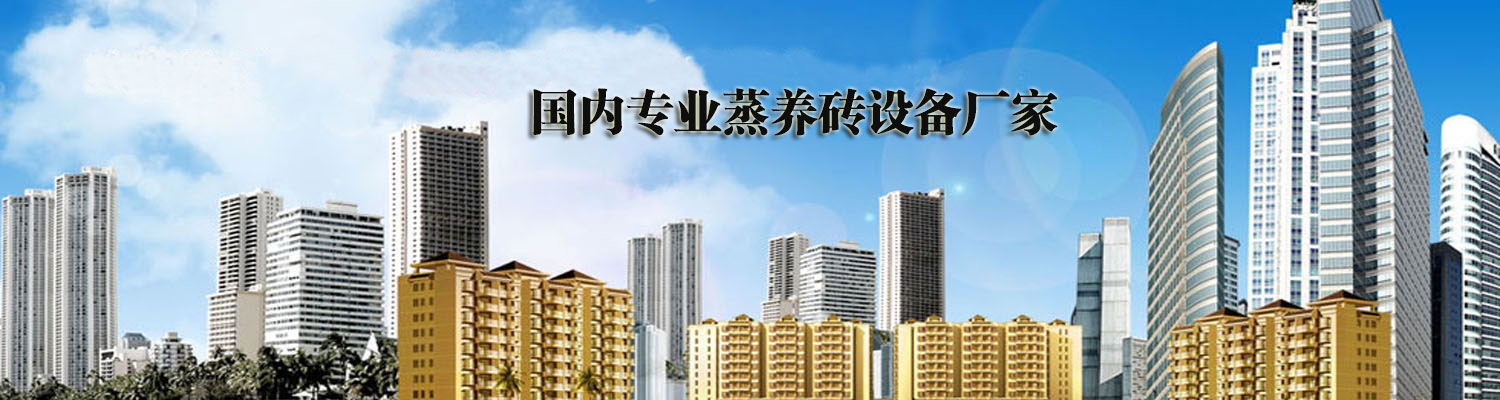 蒸壓磚生產線